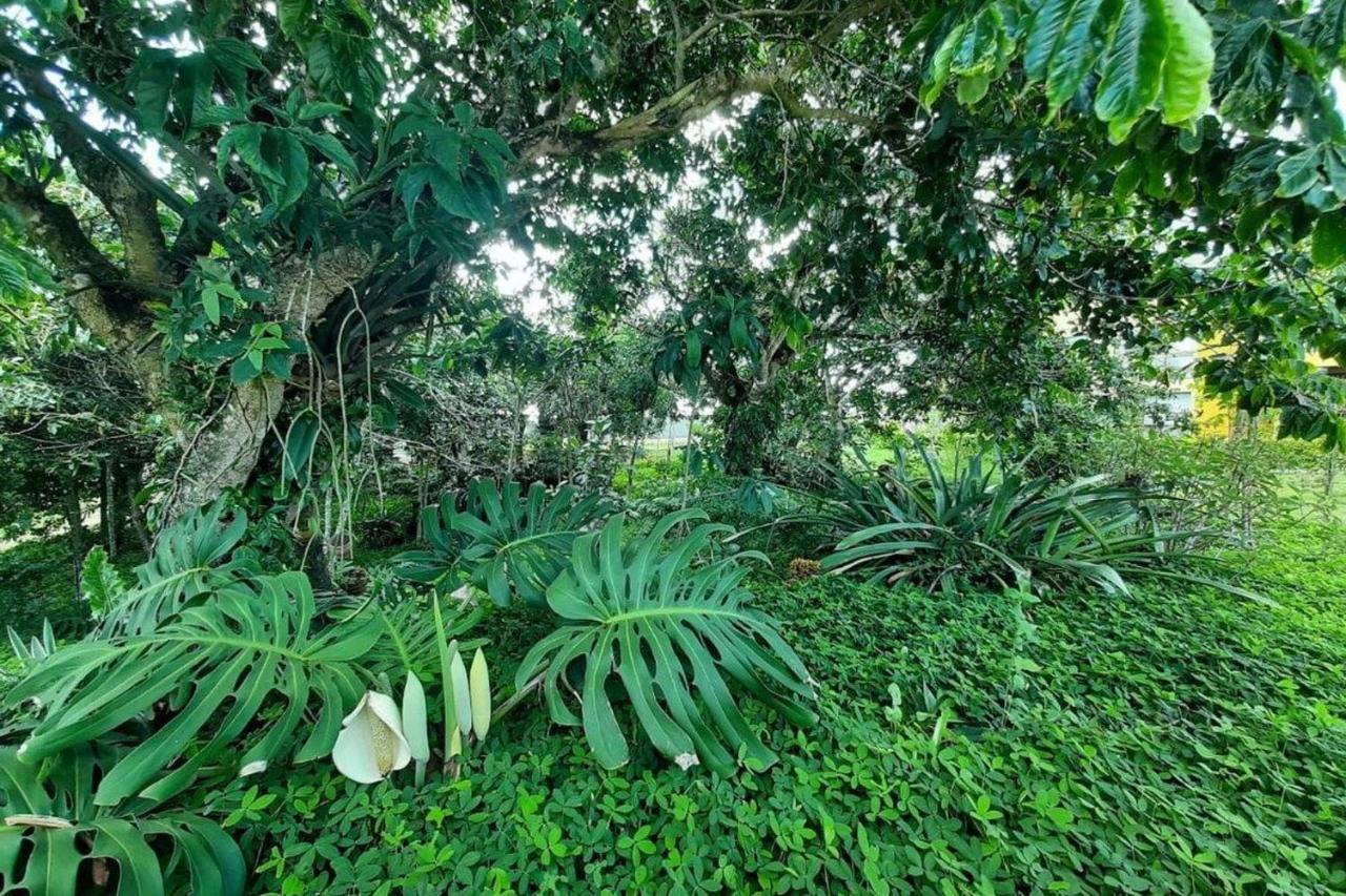 Flat Em Serra Negra - بيزيروس المظهر الخارجي الصورة