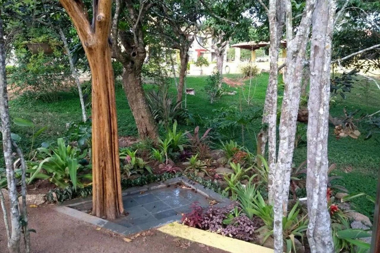 Flat Em Serra Negra - بيزيروس المظهر الخارجي الصورة