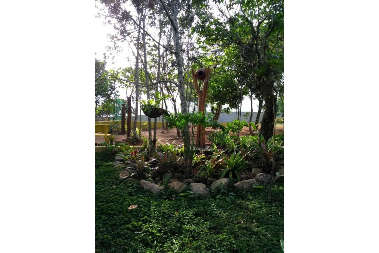 Flat Em Serra Negra - بيزيروس المظهر الخارجي الصورة